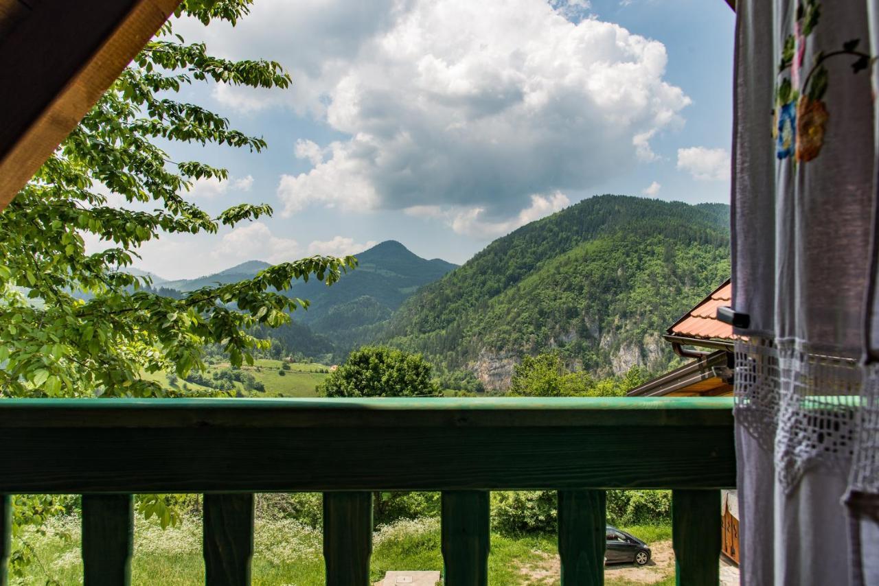 Drvene Kuce Suska - Wooden Houses Suska Zaovine Luaran gambar