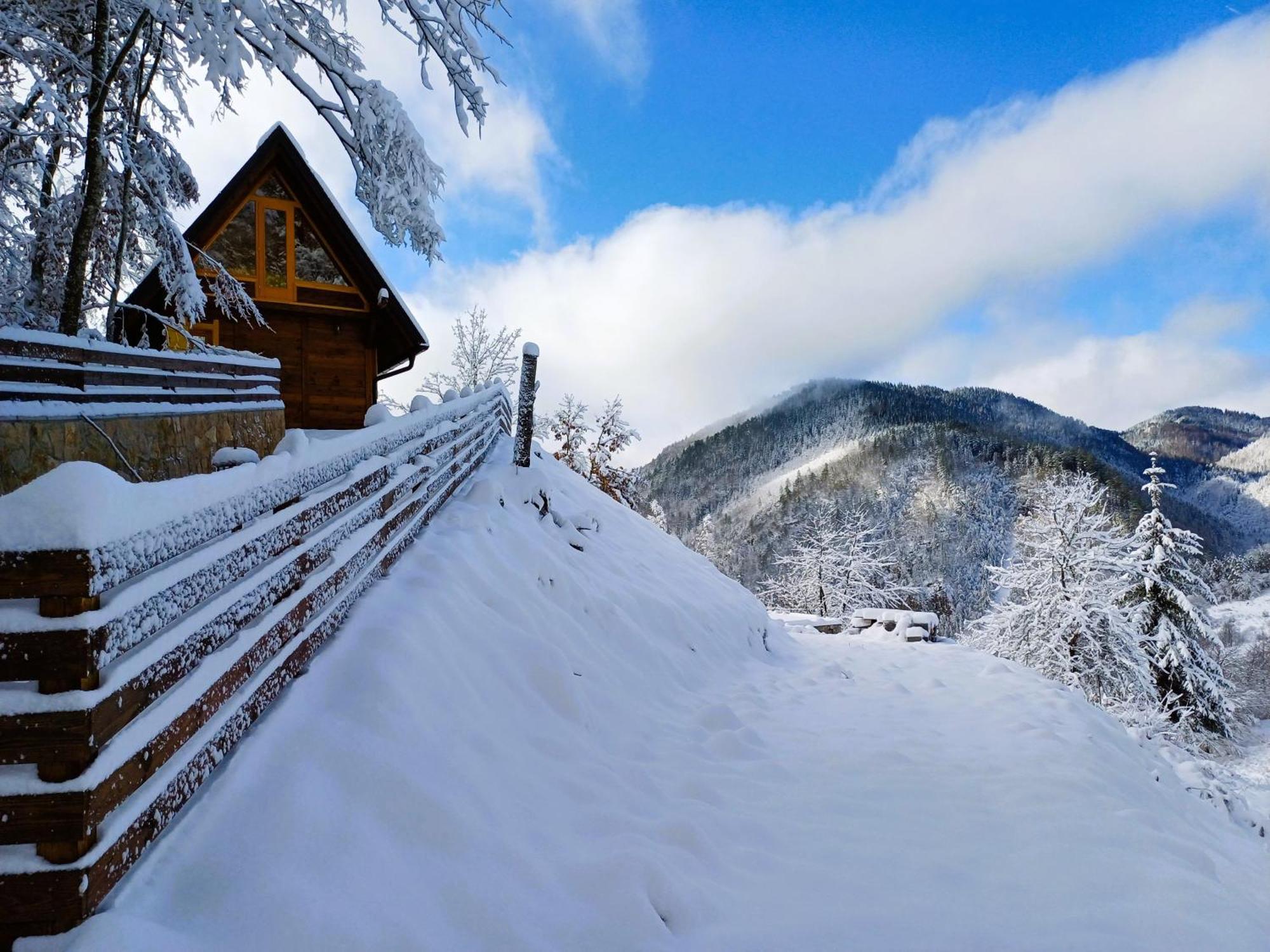 Drvene Kuce Suska - Wooden Houses Suska Zaovine Luaran gambar